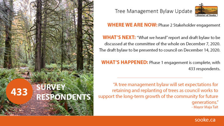 Project update: Draft tree bylaw receives input from 433 participants