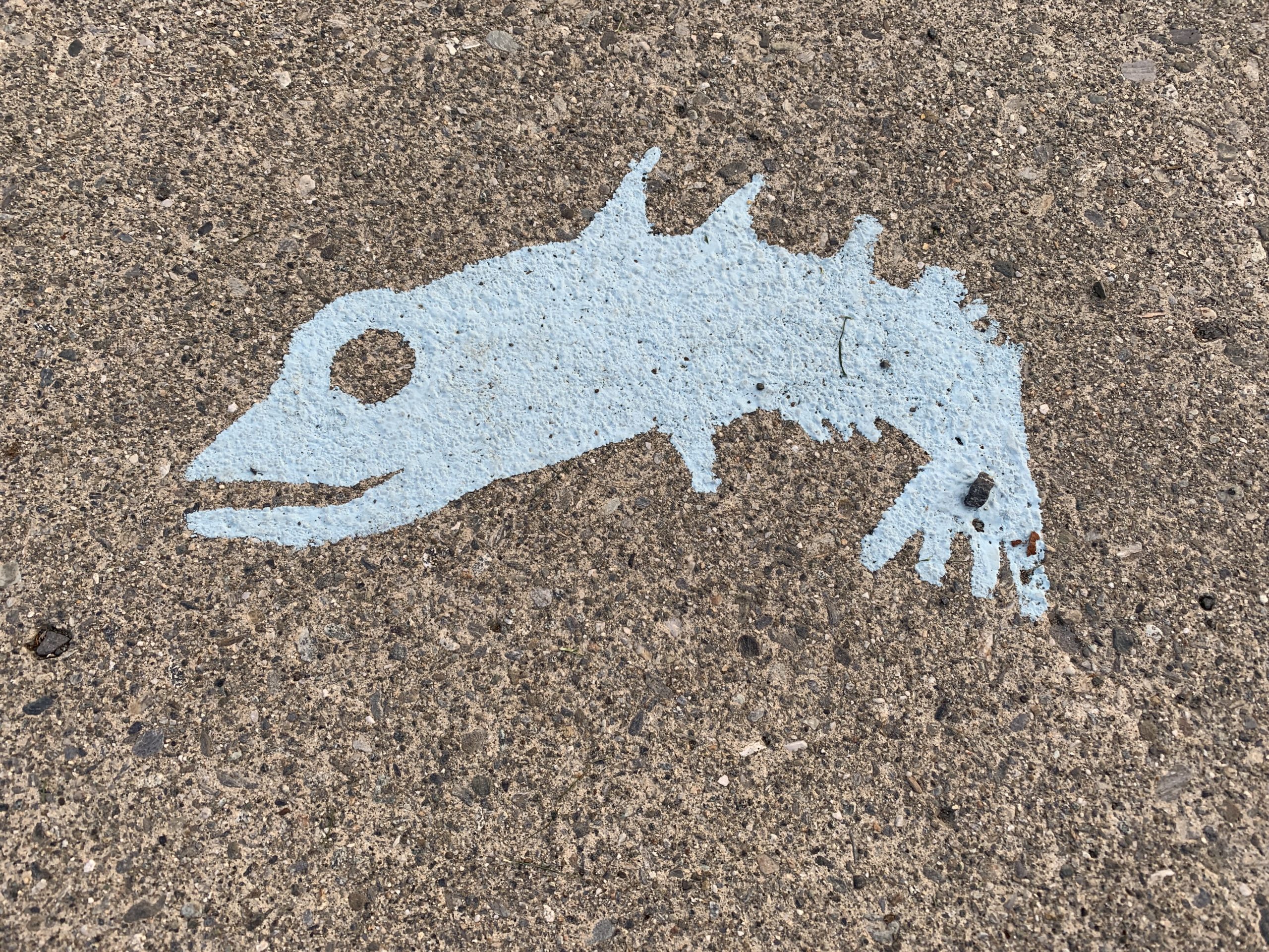 Stickleback Fish – road marking