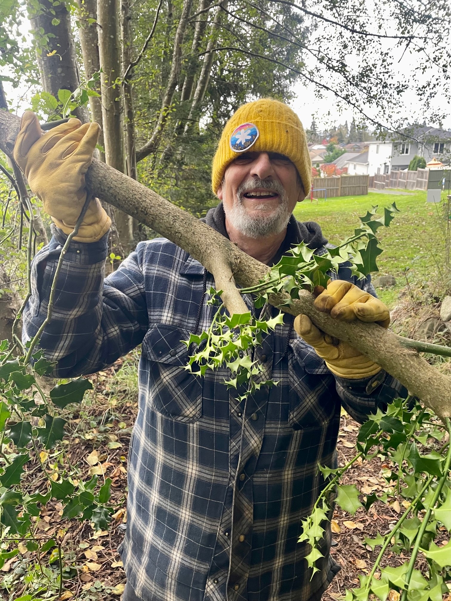 A person outdoors smiling while holding a large branch of holly. They are wearing a yellow beanie, gloves, and a plaid shirt. The background shows a yard with trees and houses in the distance. The scene appears to be part of a tree removal or maintenance effort, as the person holds a recently cut holly branch.